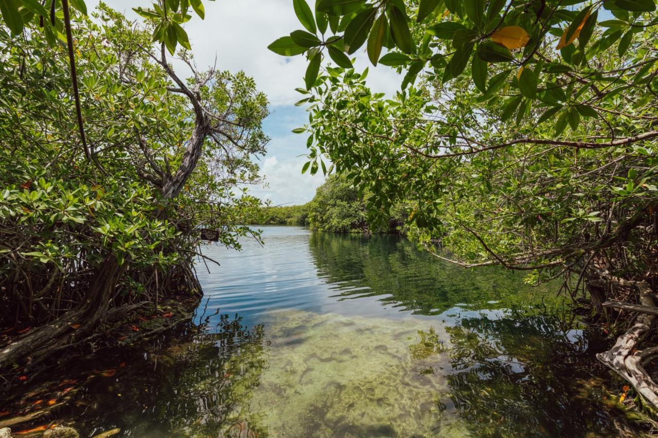 Yaxchen Tulum Cabanas & Cenote 外观 照片