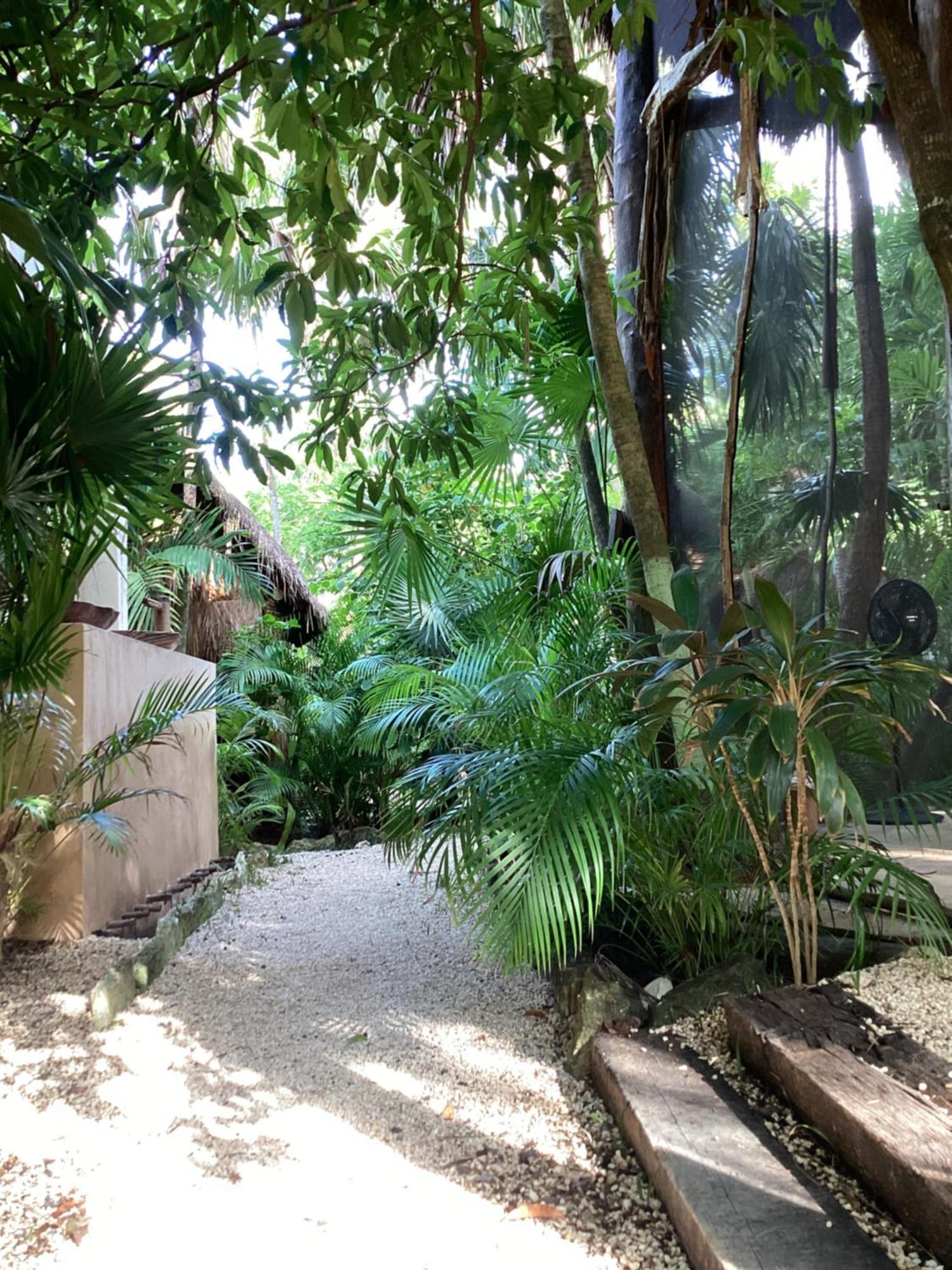 Yaxchen Tulum Cabanas & Cenote 外观 照片